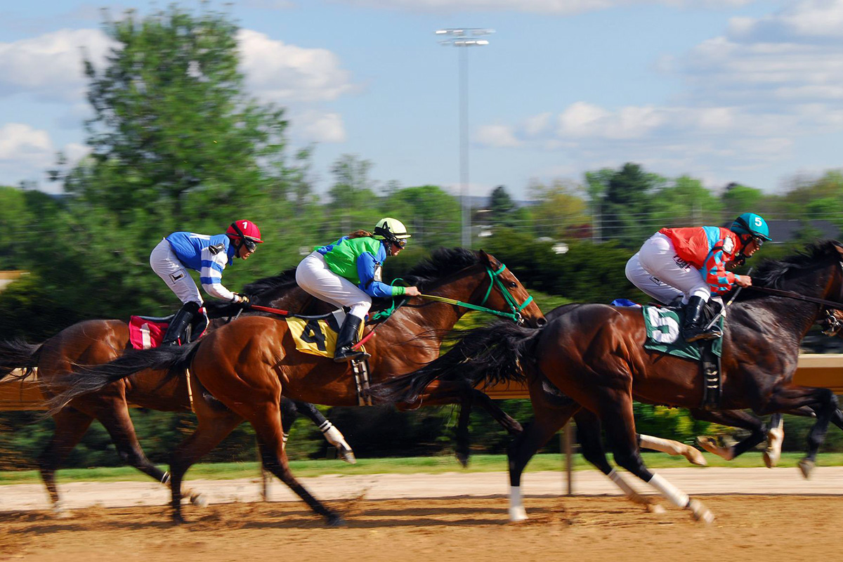 OFF-TRACK BETTING
